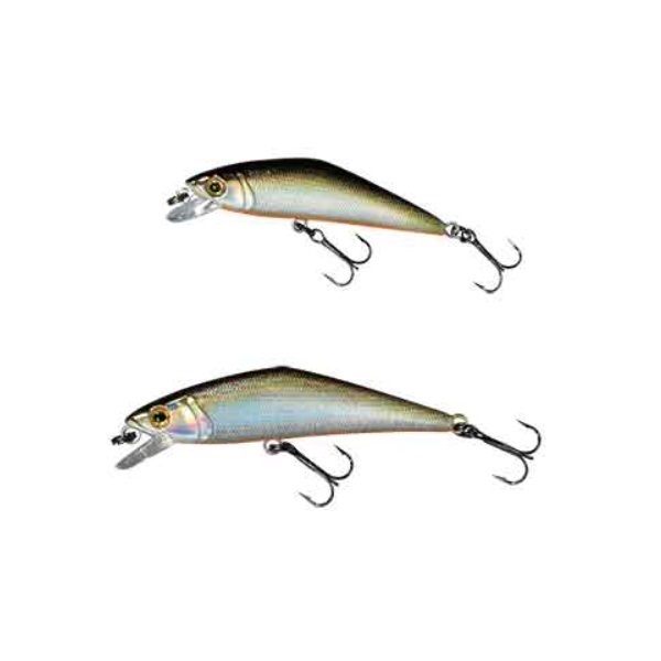 Ｄ－コンタクト　５０